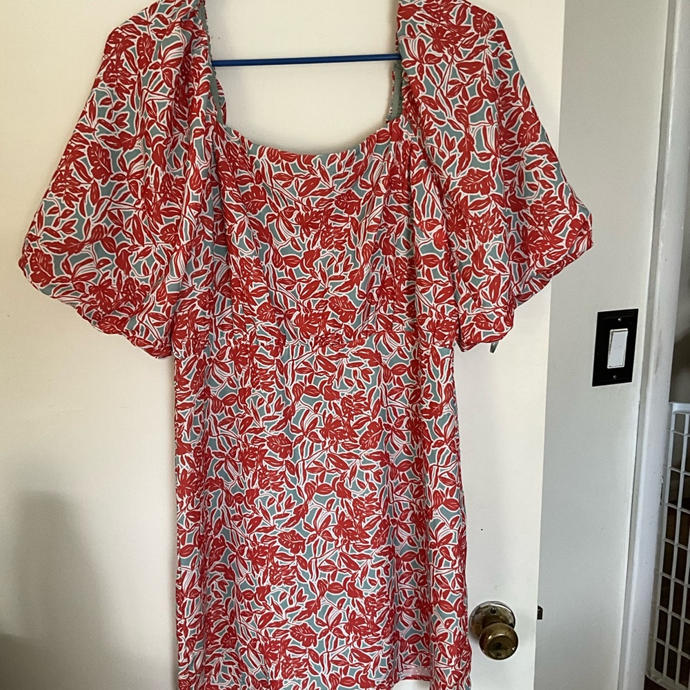 Lucy Paris Red Floral Print Dress on Light Blue Base